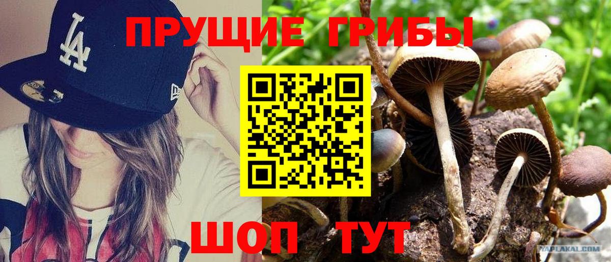 Псилоцибиновые грибы ЛСД Октябрьский
